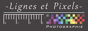 Lignes et Pixels