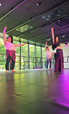 Salon de la danse 25