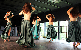 Salon de la danse 25