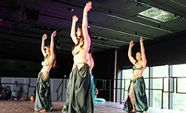Salon de la danse 25