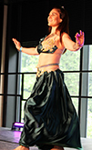 Salon de la danse 25